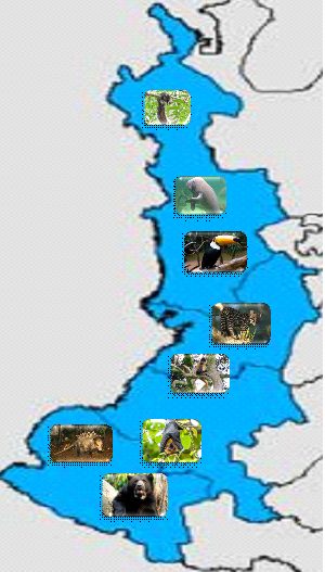 Mapa con imagenes